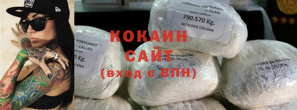 стаф Алзамай