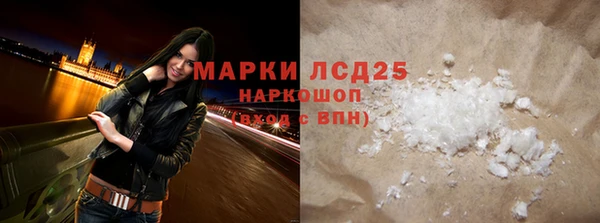 стаф Алзамай