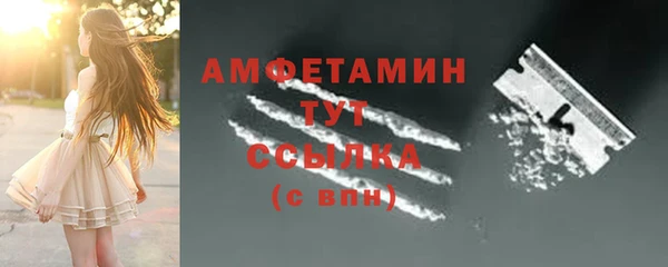 стаф Алзамай