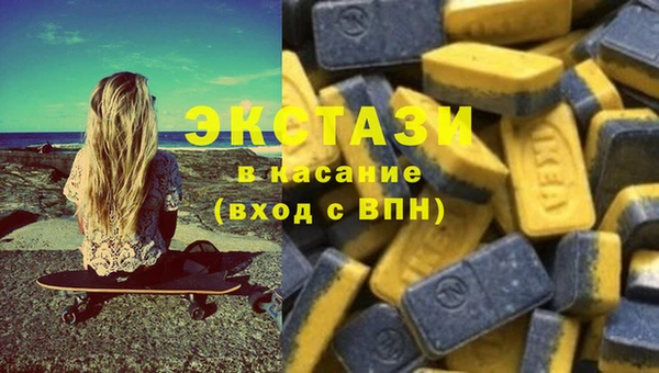 стаф Алзамай