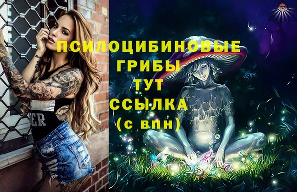 круглые Абаза