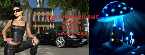 круглые Абаза
