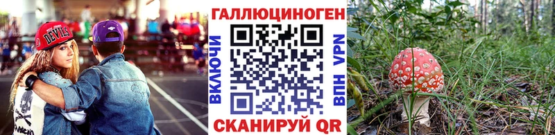 Псилоцибиновые грибы мухоморы  купить закладку  Чишмы 
